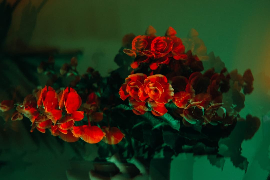 http://n.sinaimg.cn/news/transform/w600h400/20180314/zx1E-fysfzei9581472.jpg?zdy